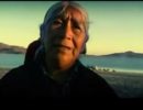 El exterminio silencioso del pueblo mapuche