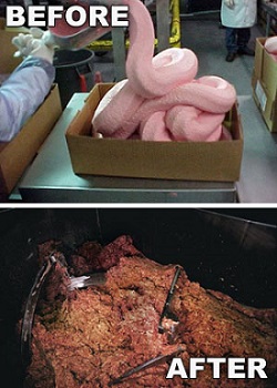 pink-slime-before-after