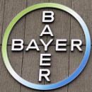 transgenicos-patentes-bayer