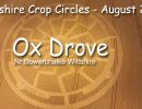 Crop Circle con el Sol Negro aparecido el 8/8/2015
