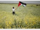 Por qué se rebela la población palestina