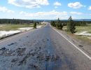 Cierran accesos al parque Yellowstone porque el calor del supervolcán está derritiendo el asfalto 
